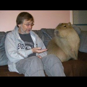 Meet your Posher, Dani